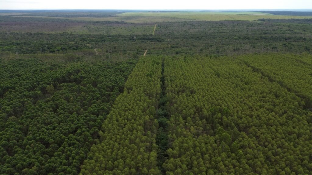 WhatsApp Image 2025-08-01 at 10.34.49