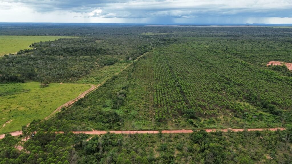 WhatsApp Image 2025-08-01 at 10.34.49 (2)