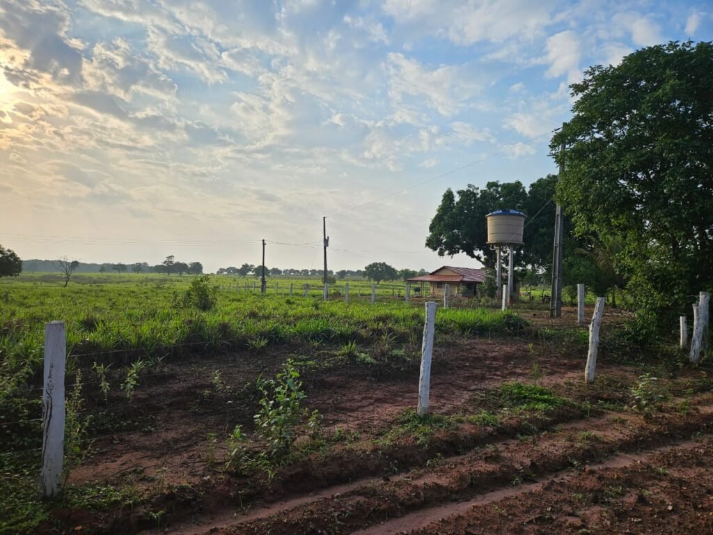 WhatsApp Image 2025-08-05 at 10.48.12 (1)