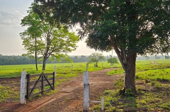 Fazenda Ônix do Norte