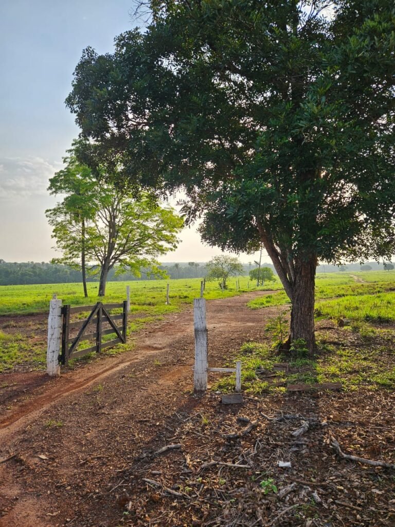 WhatsApp Image 2025-08-05 at 10.48.13 (1)