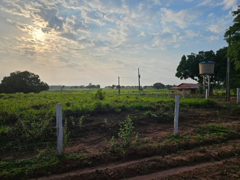 WhatsApp Image 2025-08-05 at 10.48.13