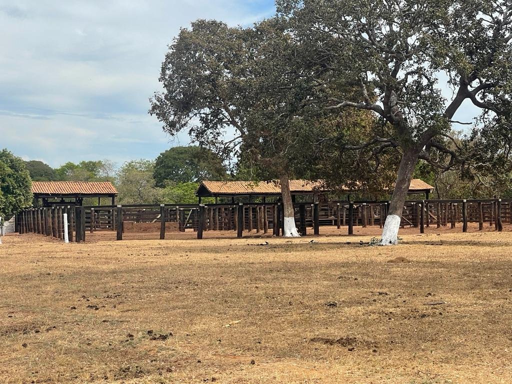 WhatsApp Image 2025-10-10 at 16.51.13 (1)