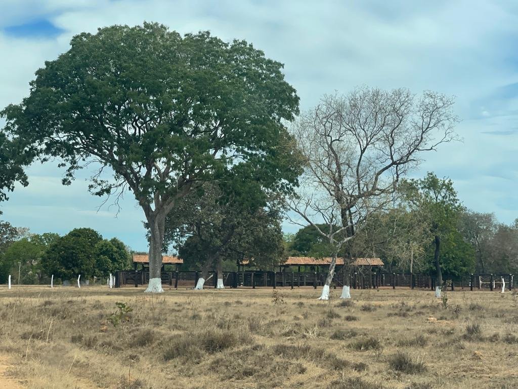 WhatsApp Image 2025-10-10 at 16.51.13