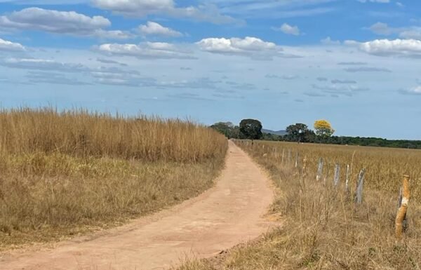 WhatsApp Image 2025-10-10 at 16.51.15