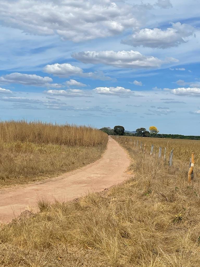 WhatsApp Image 2025-10-10 at 16.51.15