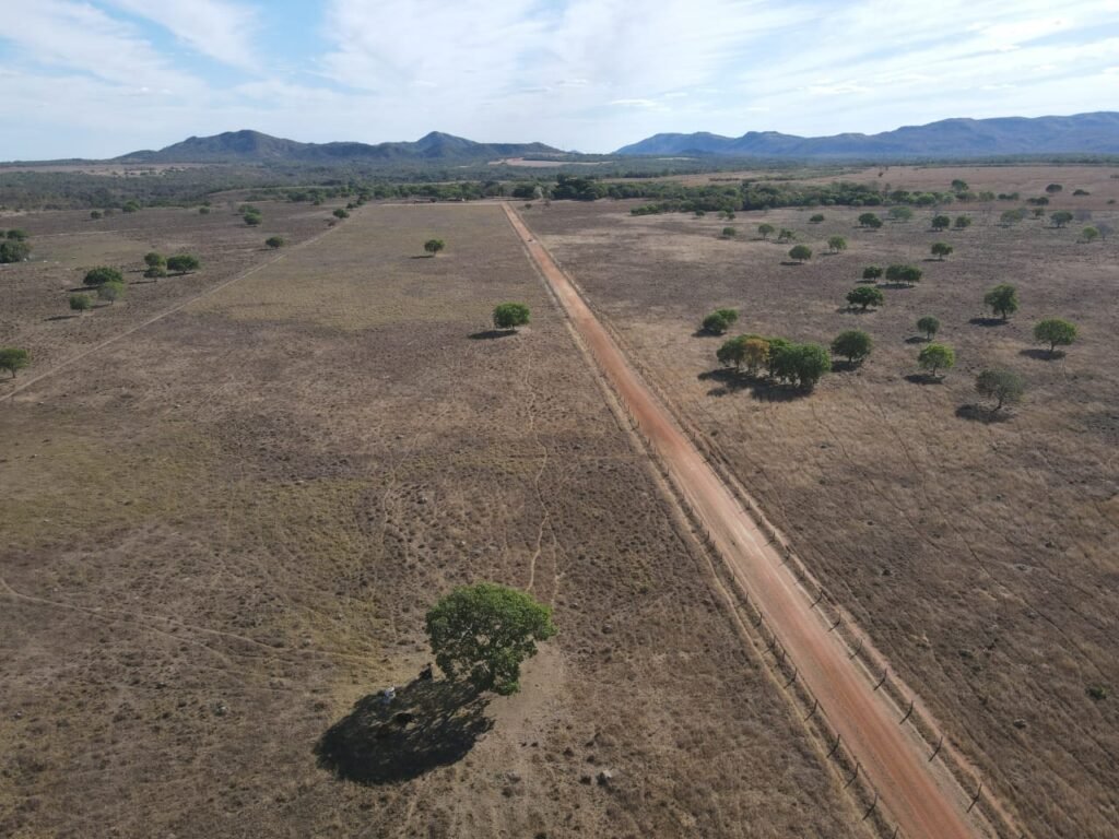 WhatsApp Image 2025-10-10 at 16.54.37 (1)