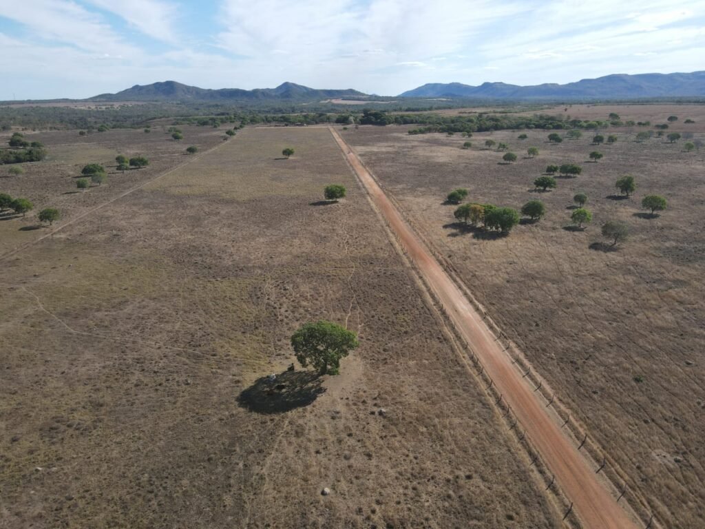 WhatsApp Image 2025-10-10 at 16.54.37