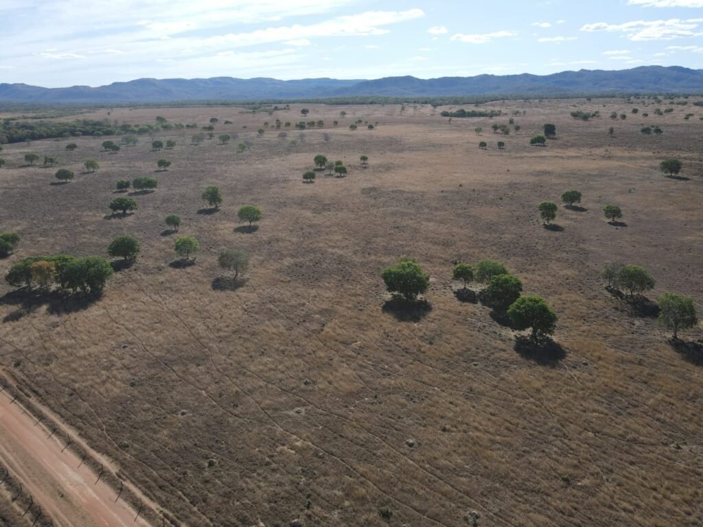 WhatsApp Image 2025-10-10 at 16.54.37 (2)