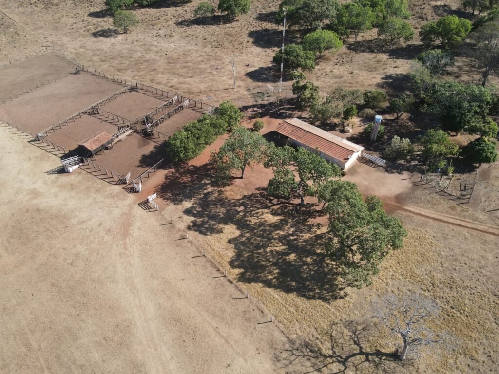 WhatsApp Image 2025-10-10 at 16.54.44