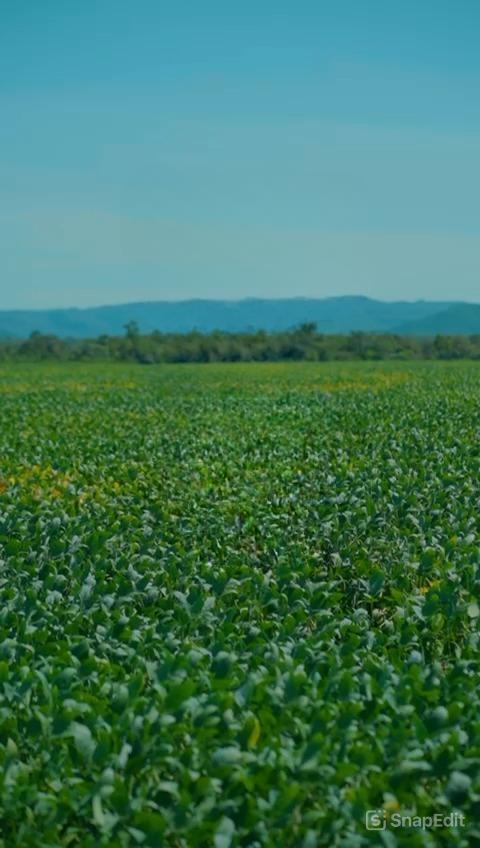 snapedit_1741615074069