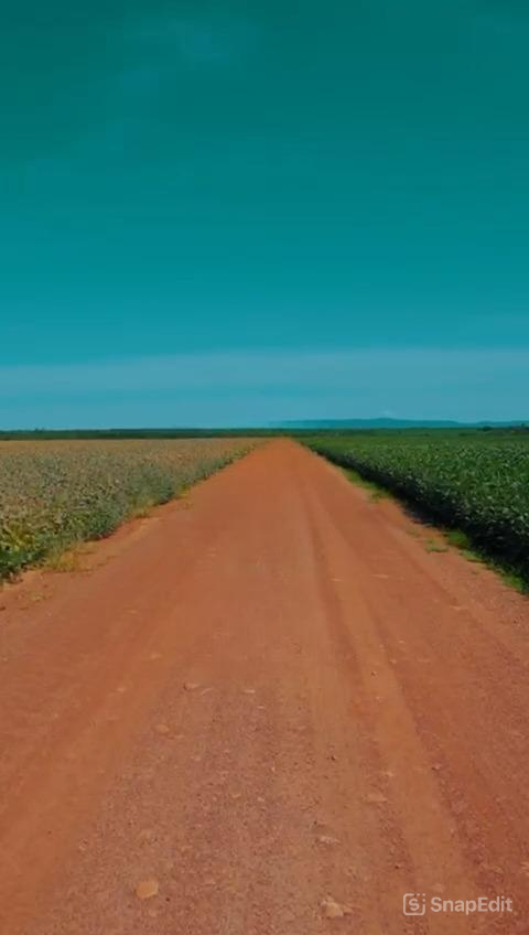 snapedit_1741615159505