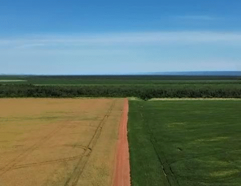 Fazenda Quartzo Rosa