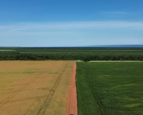 snapedit_1741617898777